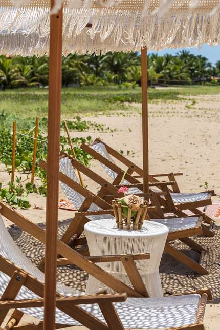 Cadeiras de praia à sombra, com o coqueiral atrás